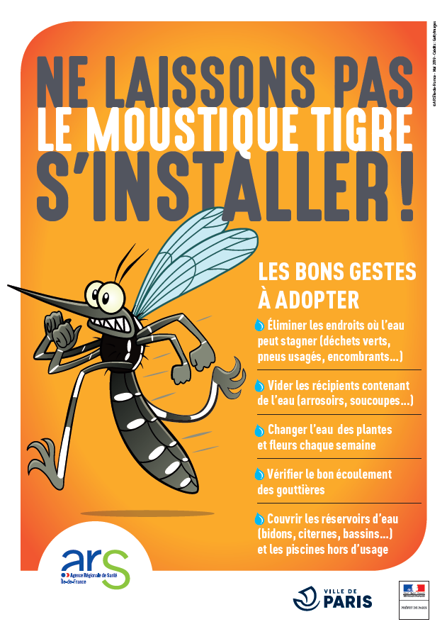 moustique tigre